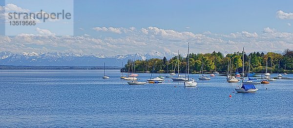 Ammersee mit Segelbooten bei Utting und den schneebedeckten Alpengipfeln im Hintergrund  Ammersee  Herrsching  Bayern  Deutschland  Europa