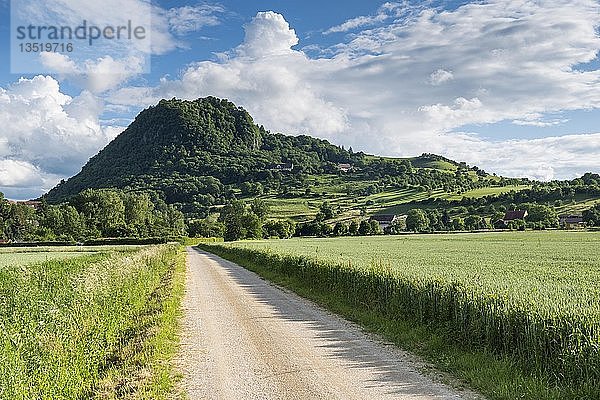 Schotterstraße  Wanderweg zum Vulkan Hohenhewen  Hegauer Landschaft  Singen  Baden-Württemberg  Deutschland  Europa