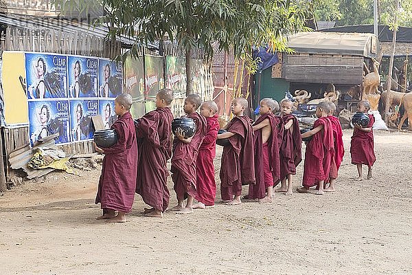 Junge Mönche auf ihrer morgendlichen traditionellen Almosenrunde  Bagan  Myanmar  Asien