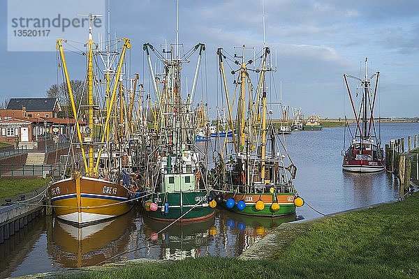 Im Fischereihafen vertäute Fischerboote  Greetsiel  Niedersachsen  Deutschland  Europa