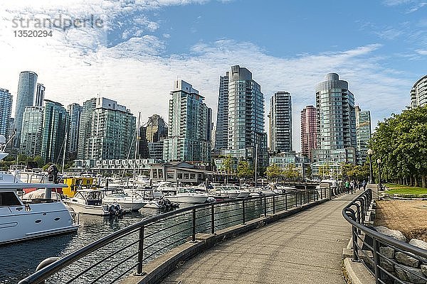 Hochhäuser an der Promenade am Jachthafen  Coal Harbour  Vancouver  British Columbia  Kanada  Nordamerika