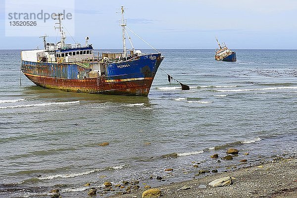 Schiffswracks am Strand  Schiffsfriedhof am Hafen  Punta Arenas  Magallanes  Patagonien  Chile  Südamerika