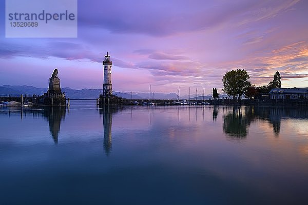 Hafen mit Leuchtturm  Sonnenuntergang  Wasserspiegelung  Lindau  Bodensee  Bayern  Deutschland  Europa