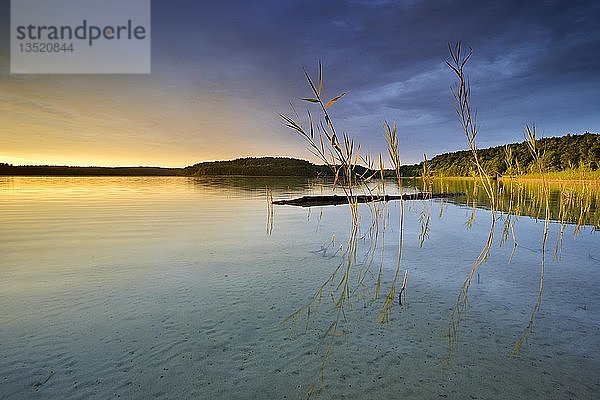 Großer Fürstensee mit Schilf  Abendlicht  Wolkenstimmung  Müritz-Nationalpark  Fürstensee  Mecklenburg-Vorpommern  Deutschland  Europa