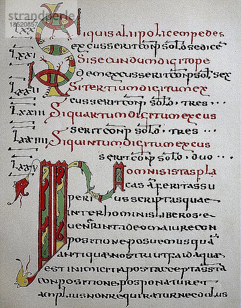 Edikt des Langobardenkönigs Rothari aus dem Jahr 643  die älteste Handschrift der Langobardengesetze  geschrieben zwischen 671 und 736  aufbewahrt in der Stiftsbibliothek St. Gallen  Holzschnitt  Schweiz  Europa