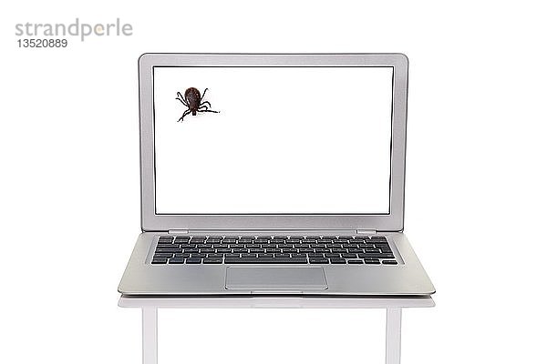 Laptop mit einem Häkchen  symbolisch für Computerviren