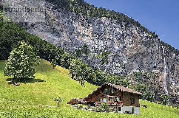 Ansicht Bauernhof nahe Lauterbrunnen  dahinter Staubbach Wasserfall  Interlaken-Oberhasli  Bern  Schweiz  Europa