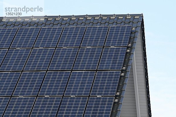 Sonnenkollektoren auf einem Dach  Mettmann  Nordrhein-Westfalen  Deutschland  Europa