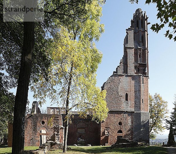 Ruinen der romanischen Klosterbasilika  Abtei Limburg  Limburg an der Haardt  ehemalige Benediktinerabtei  Bad Dürkheim  Pfälzerwald  Rheinland-Pfalz  Deutschland  Europa
