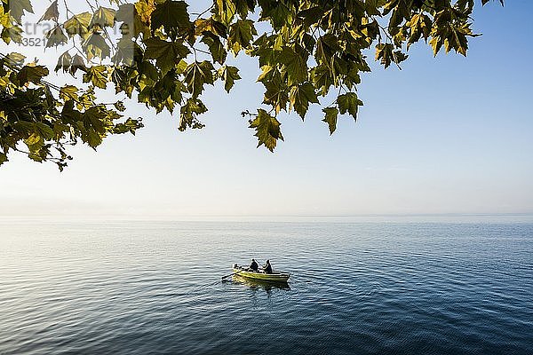 Zwei Angler in einem Boot  Morgenstimmung  Bodensee  Baden-Württemberg  Deutschland  Europa