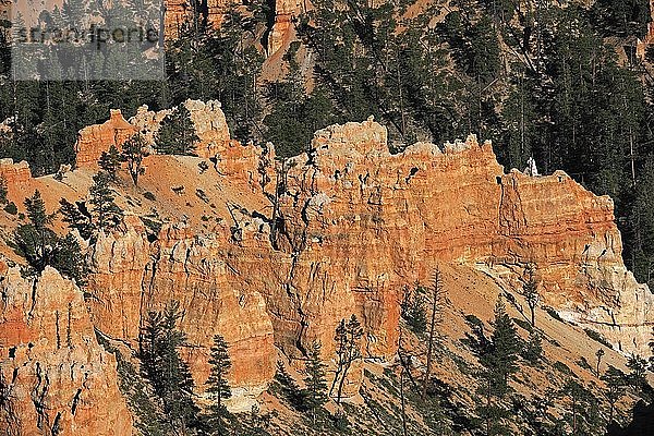 Felsformationen und Hoodoos im Bryce Canyon bei Sonnenuntergang  Sunset Point  Utah  Südwesten  USA  Nordamerika