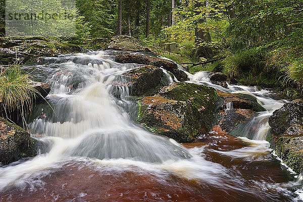 Unterer Bodefall  Wasserfall der Bode im Harz  bei Braunlage  Niedersachsen  Deutschland  Europa