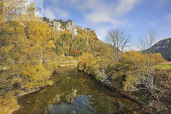 Blick über die Donau auf Schloss Werenwag im herbstlichen Oberen Donautal  Landkreis Sigmaringen  Baden-Württemberg  Deutschland  Europa