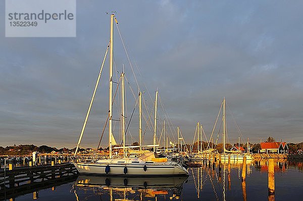 Hafen bei Sonnenaufgang  Spodsbjerg  Langeland  Dänemark  Europa