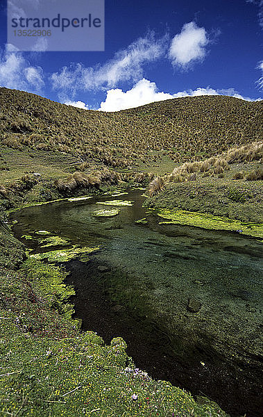 Cotopaxi-Hochebene   Ecuador  Südamerika