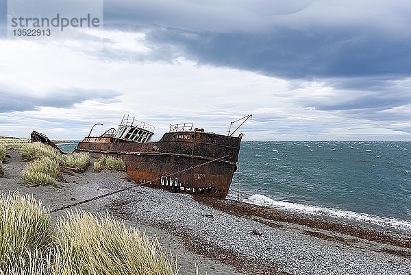 Schiffswrack der Amadeo  San Gregorio  bei Punta Arenas  Magellanstraße  Patagonien  Chile  Südamerika