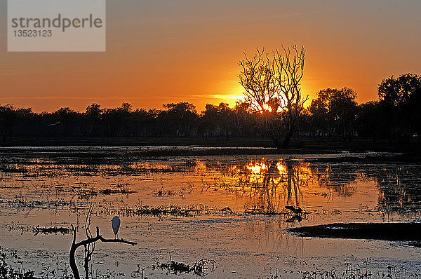 Sonnenaufgang an der Gelbwasserlagune  Kakadu NP  Northern Territory  Australien