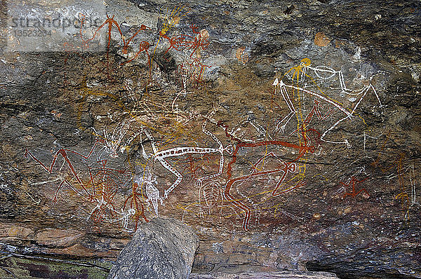 20000 Jahre alte Malereien der Aborigines im Gebiet von Nourlangie  Northern Territory  Australien