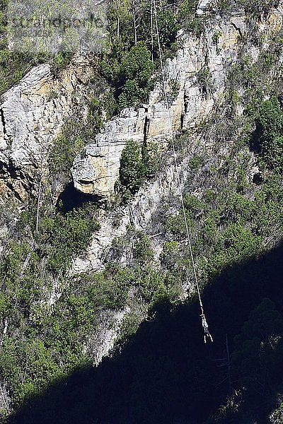 Bungee Jumping an der Bloukrans Bridge  Plettenberg  Westkap  Südafrika  Afrika