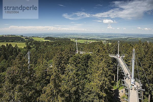 Baumwipfelpfad  Skywalk Allgäu  Scheidegg  Allgäu  Schwaben  Bayern  Deutschland  Europa