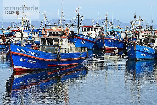 Fischerboote in der Bucht von Puerto del Hambre  nahe Punta Arenas  Magallanes  Patagonien  Chile  Südamerika