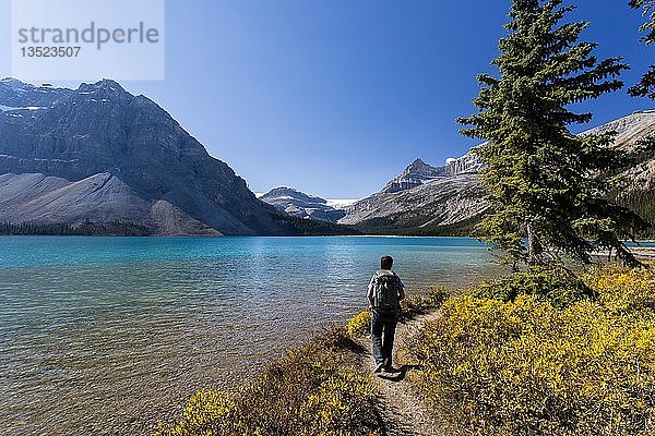 Wanderer am Bow Lake  Bow Glacier  Banff National Park  Kanadische Rockies  Alberta  Kanada  Nordamerika