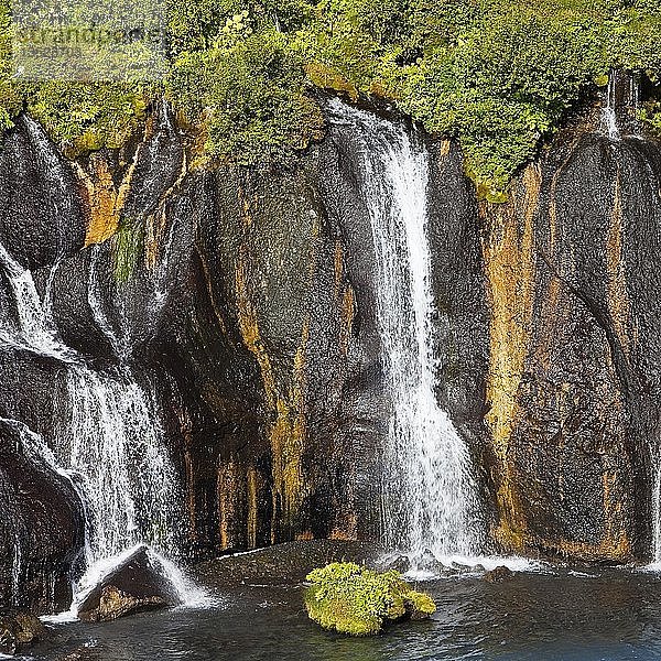 Wasserfall Hraunfossar  Westisland  Island  Europa
