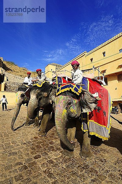 Dekorierte und bemalte Elefanten im Amber Fort  Jaipur  Rajasthan  Indien  Asien