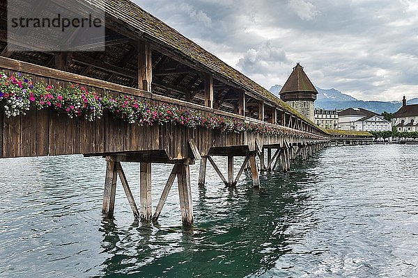 Historische Kapellbrücke und der Wasserturm in der Altstadt von Luzern  Kanton Luzern  Schweiz  Europa