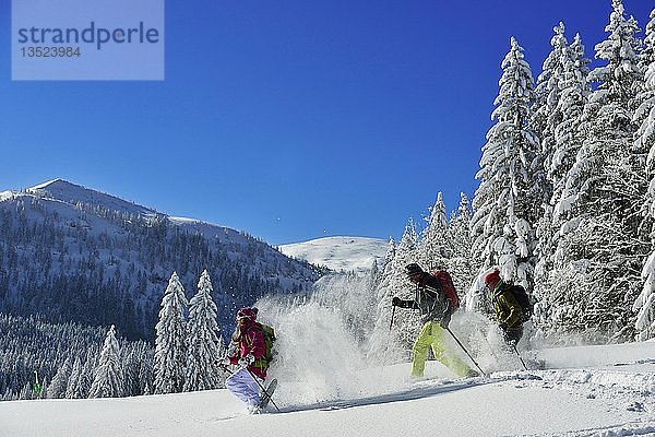 Schneeschuhtour zum Fellhorn  Reit im Winkl  Bayern  Deutschland  Europa