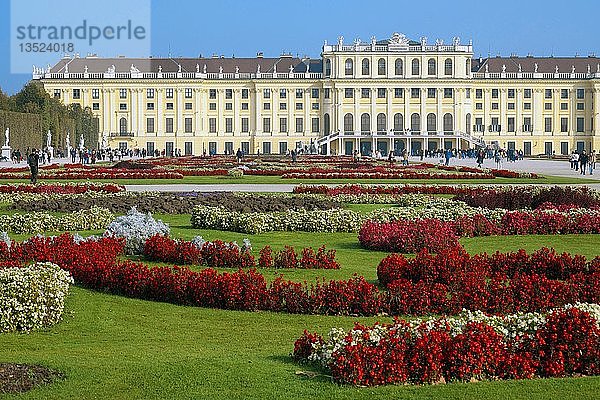 Schloss Schönbrunn mit Blumenbeet  Wien  Österreich  Europa