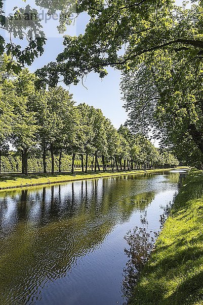 Baumallee am Kanal  Schlosspark  Schwerin  Mecklenburg-Vorpommern  Deutschland  Europa