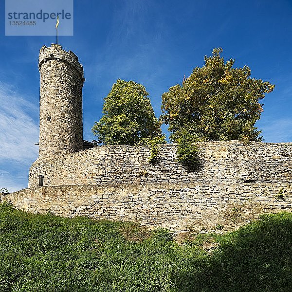Ruine der Burg Greifenstein  Bad Blankenburg  Thüringen  Deutschland  Europa