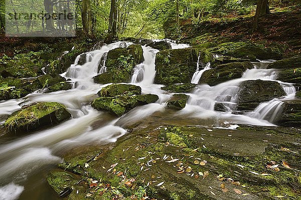 Selke-Wasserfall im Harz  Sachsen-Anhalt  Deutschland  Europa