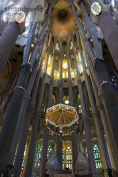 Gewölbedecke  Innenraum der Kirche Sagrada Familia  Architekt Antoni Gaudí  Barcelona  Katalonien  Spanien  Europa