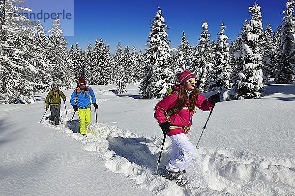 Schneeschuhtour zum Fellhorn  Reit im Winkl  Bayern  Deutschland  Europa