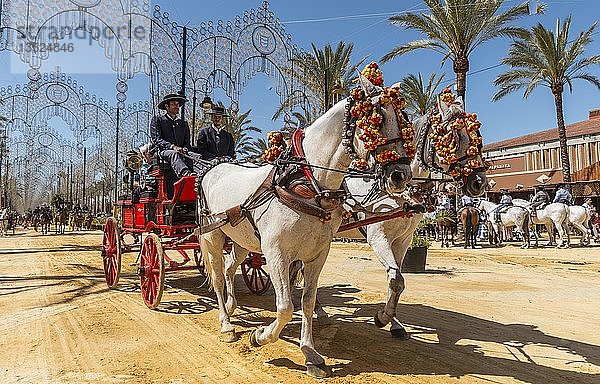 Spanier in traditioneller Festtagstracht auf geschmücktem Pferdewagen  Feria de Caballo  Jerez de la Frontera  Provinz Cádiz  Andalusien  Spanien  Europa