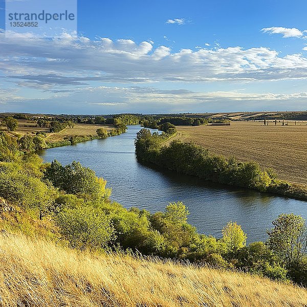 Fluss Saale  Herbstlandschaft  Naturpark Unteres Saaletal  Sachsen-Anhalt  Deutschland  Europa