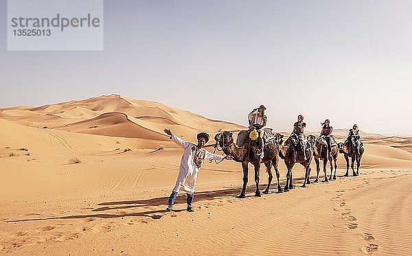 Touristen mit Beduinenführer  Karawane mit zwei Dromedaren (Camelus dromedarius)  Sanddünen in der Wüste  Erg Chebbi  Merzouga  Sahara  Marokko  Afrika