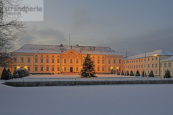 Schloss Bellevue  Residenz des Bundespräsidenten  mit einem Weihnachtsbaum zur Weihnachtszeit  Berlin  Deutschland  Europa