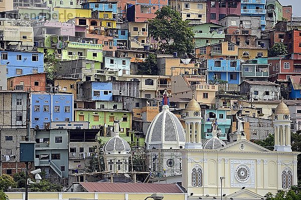 Bunte Häuser auf dem Cerro del Carmen  Guayaquil  Ecuador  Südamerika