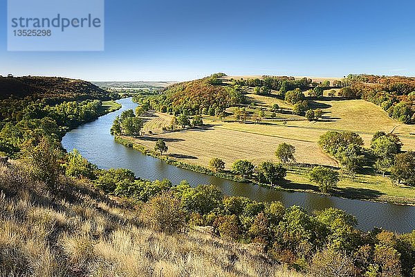 Fluss Saale  Herbstlandschaft  Naturpark Unteres Saaletal  Sachsen-Anhalt  Deutschland  Europa