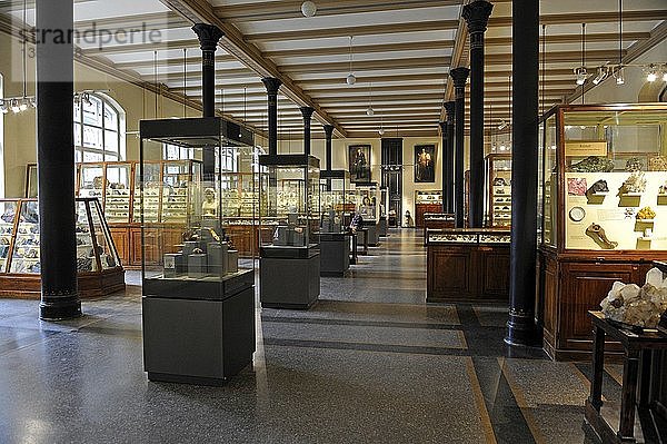 Ausstellungsraum der Mineraliensammlung  Museum für Naturkunde  Naturkundemuseum  Berlin  Deutschland  Europa