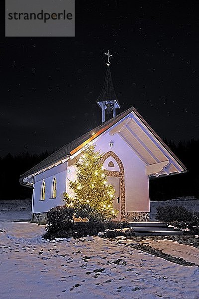 Kleine Kapelle im Bayerischen Wald zur Weihnachtszeit  Bayern  Deutschland  Europa