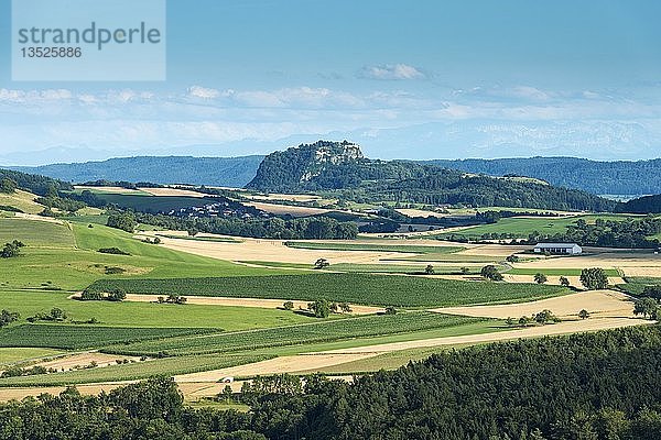 Blick auf die Hegauer Landschaft im Sommer  mit reifen Weizen- und Maisfeldern  im Hintergrund der Hegauvulkan Hohentwiel  Baden-Württemberg  Deutschland  Europa