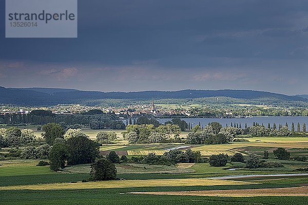 Das Radolfzeller Aachried im Abendlicht  hinter dem Bodensee mit der Stadt Radolfzell  Baden-Württemberg  Deutschland  Europa