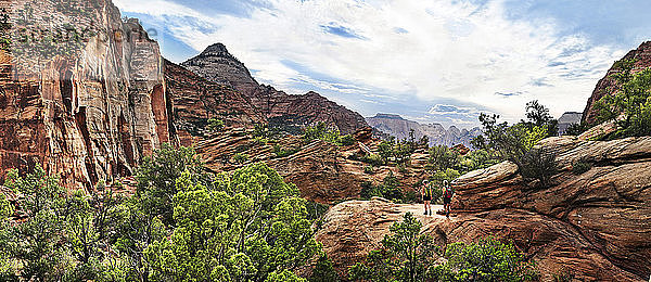 Wanderer am Canyon Overlook  Zion National Park  Utah  Vereinigte Staaten  Nordamerika