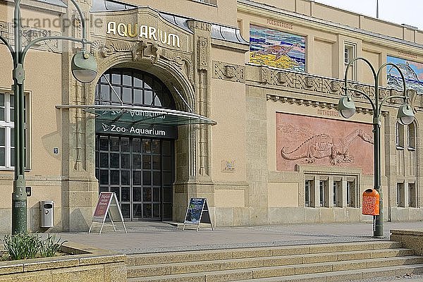 Aquarium  Zoo Berlin  Olof-Palme-Platz  Berlin  Deutschland  Europa