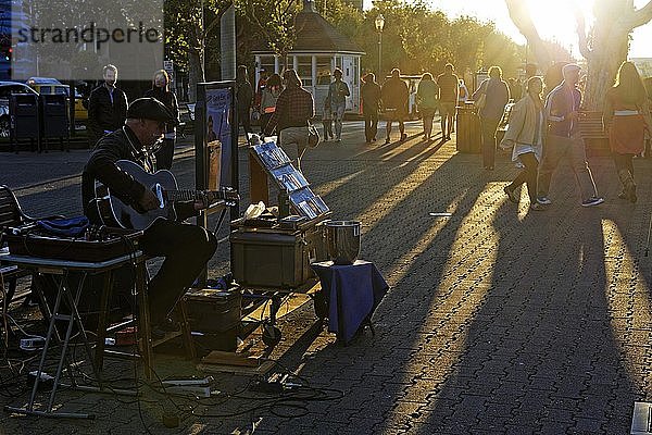 Straßenmusiker spielen am Fisherman Wharf im Abendlicht  San Francisco  Kalifornien  USA  Nordamerika