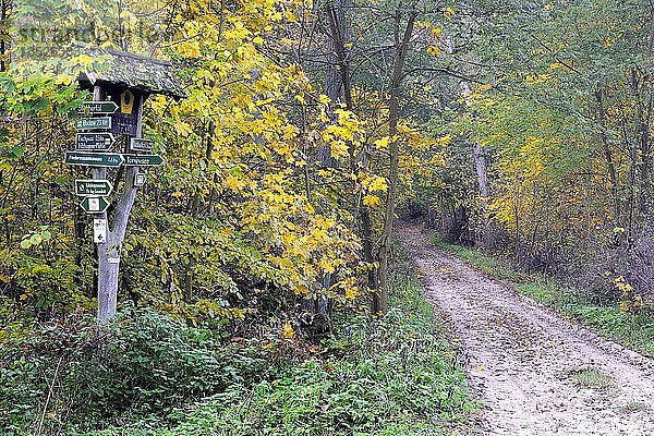 Wegweiser am Wanderweg  Naturpark Märkische Schweiz  Buckow  Brandenburg  Deutschland  Europa